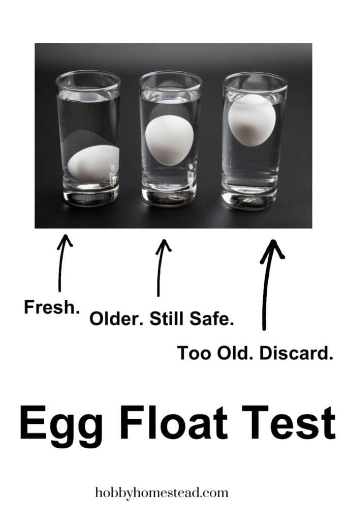 Egg Float Test