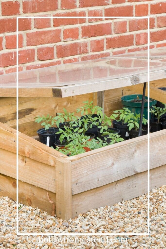 Cold Frame Near Building