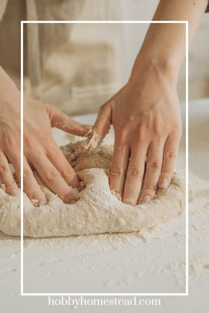Using Sourdough Discard