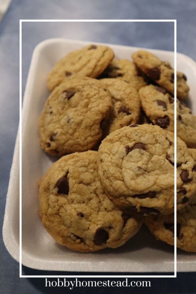 Chocolate Chip Cookies Piled on Plate