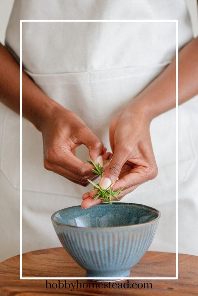 Making a Rosemary Hair Rinse