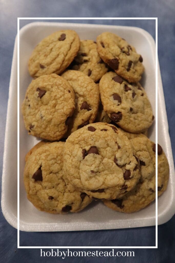 Simple Sourdough Discard Chocolate Chip Cookies