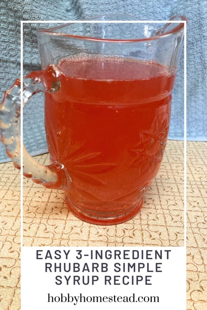 Easy 3-Ingredient Rhubarb Simple Syrup Recipe