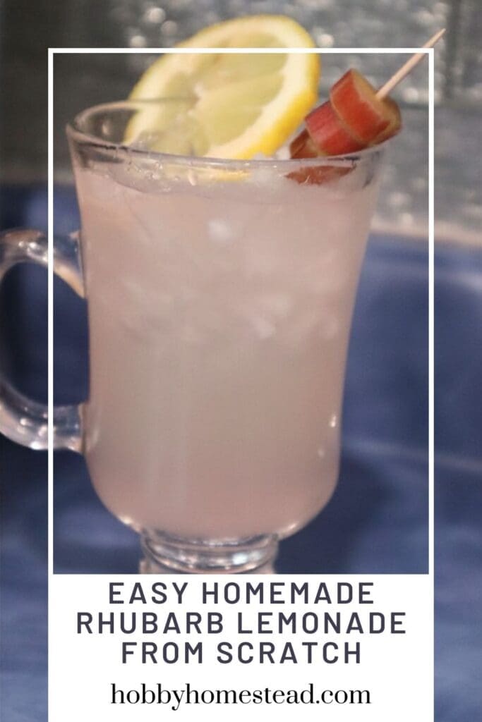 Easy Homemade Rhubarb Lemonade from Scratch