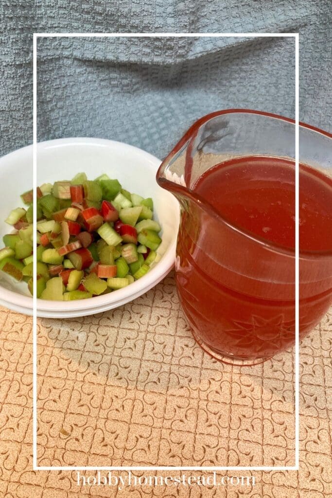 Easy Rhubarb Syrup