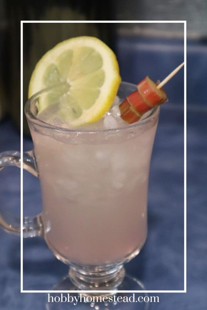 Refreshing Rhubarb Lemonade from Scratch