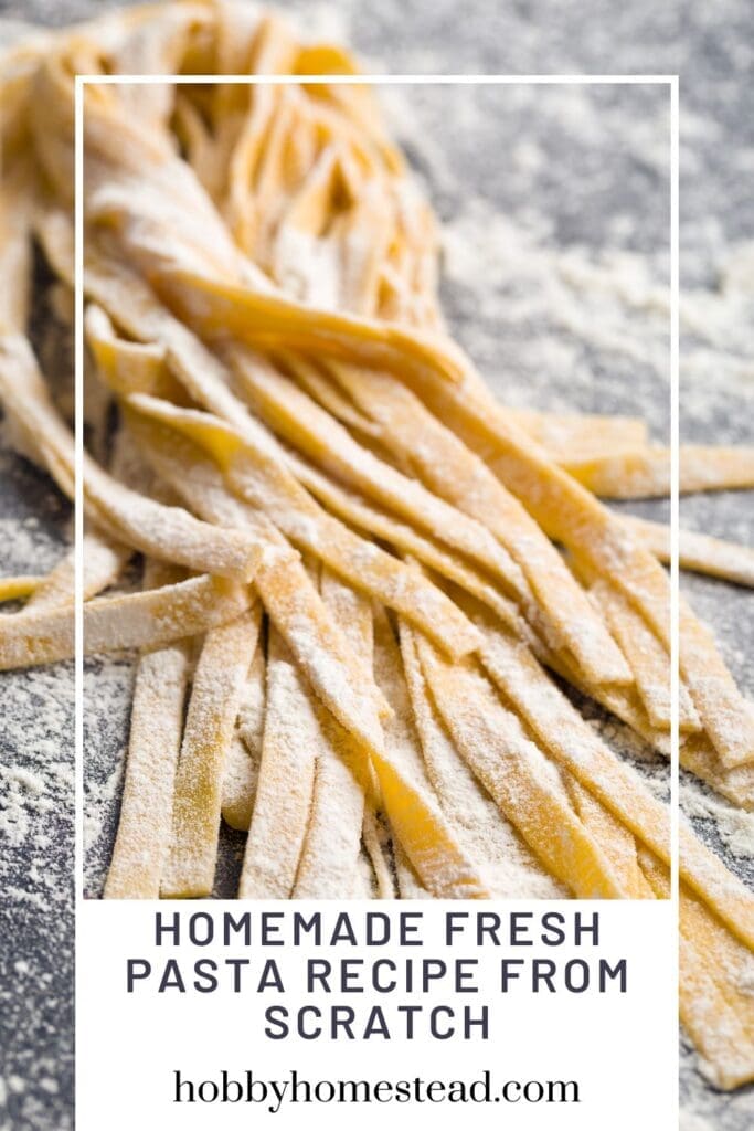 Homemade Fresh Pasta Recipe from Scratch