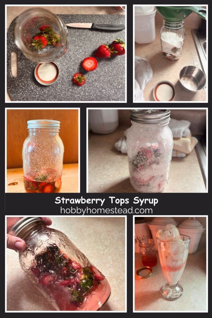 Strawberry Tops Syrup