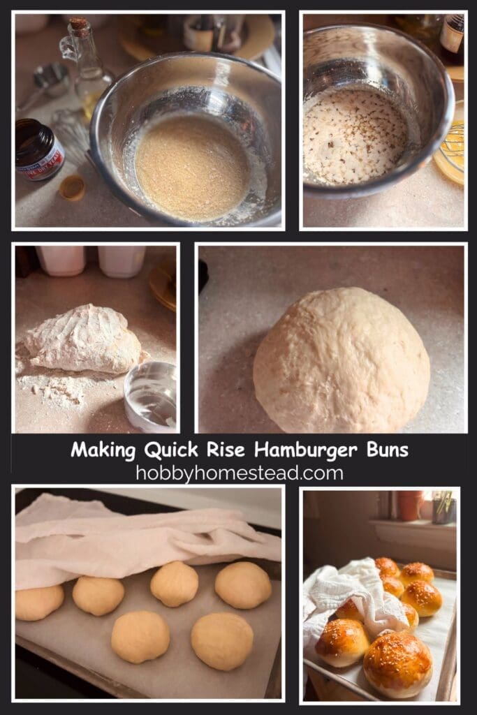 Making Quick Rise Hamburger Buns