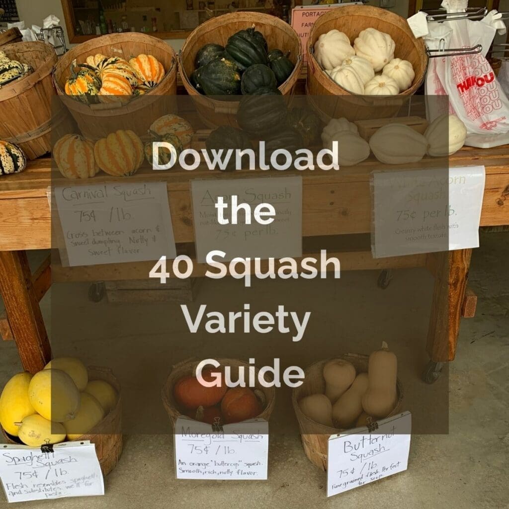 Download the 40 Squash Variety Guide