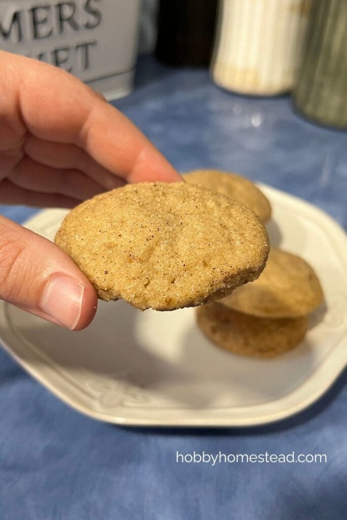 Homemade Cookies for Fall