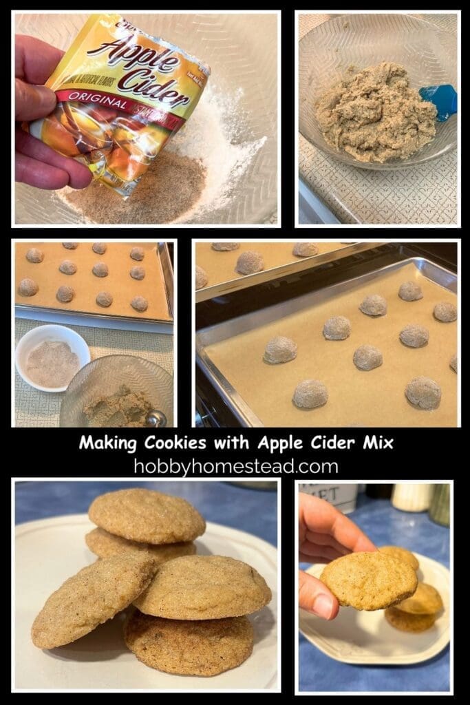 Making Cookies with Apple Cider Mix