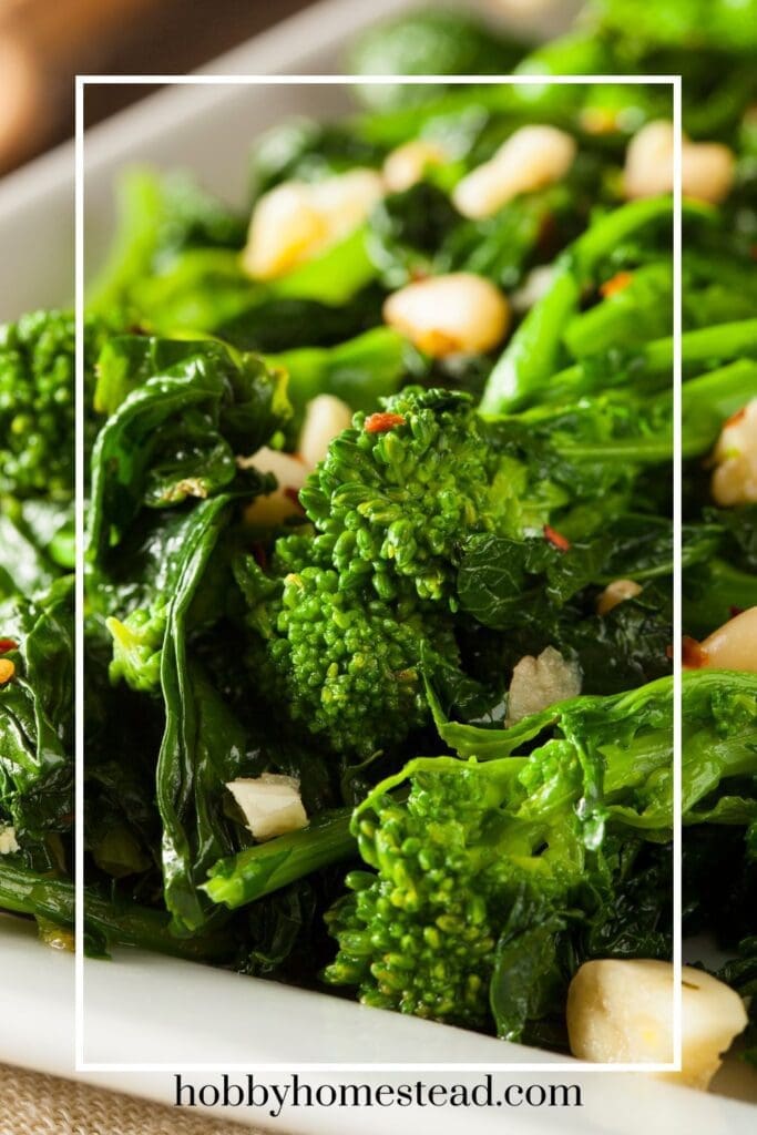 Saut&eacute;ed Broccoli Rabe Plated