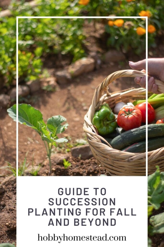 Guide to Succession Planting for Fall and Beyond