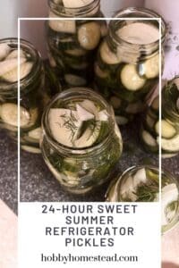 24-Hour Sweet Summer Refrigerator Pickles