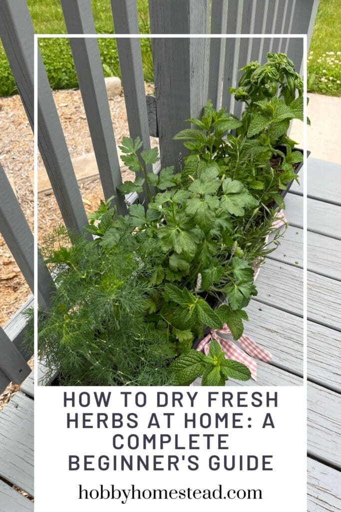 How to Dry Fresh Herbs at Home A Complete Beginner's Guide